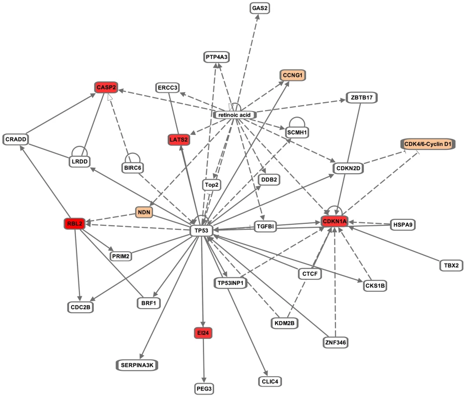 Ingenuity Pathway Analysis (IPA) of miR-295 targets.