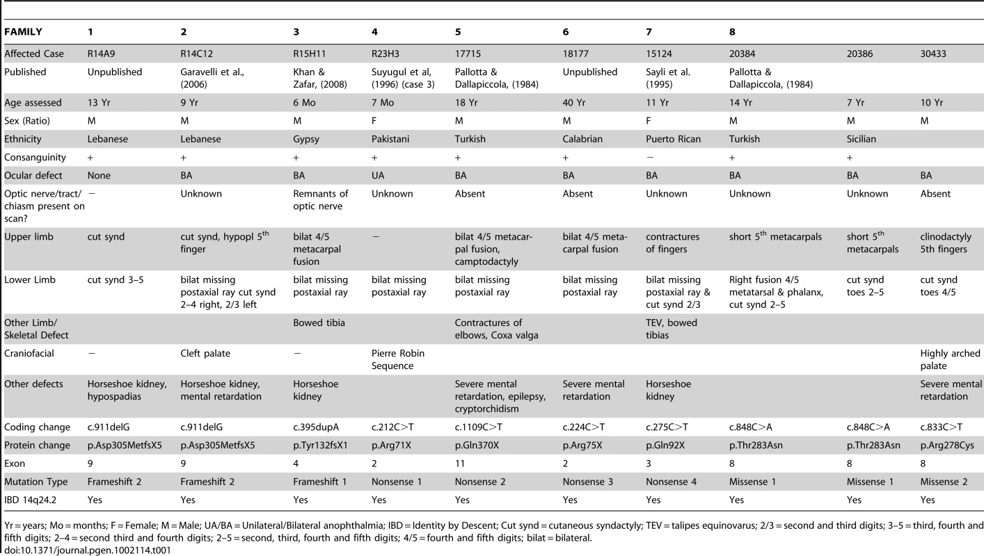 Clinical features and mutations in affected individuals with Ophthalmo-Acromelic Syndrome.