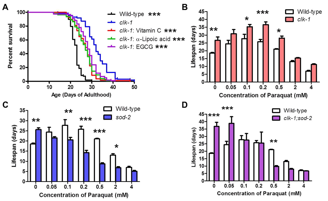 ROS-dependent and ROS-independent mechanisms contribute to longevity in <i>clk-1</i> worms.