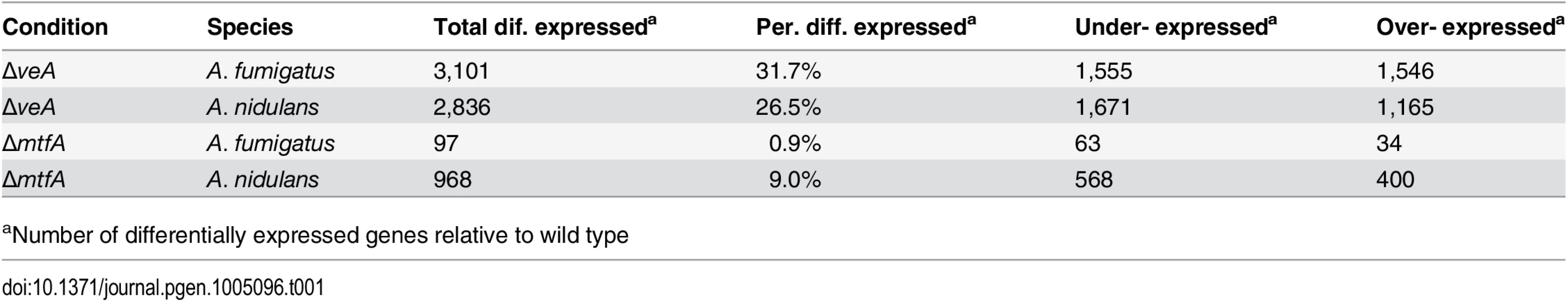 Differentially expressed genes in Δ<i>veA</i> vs WT and Δ<i>mtfA</i> vs WT comparisons for <i>A</i>. <i>fumigatus</i> and <i>A</i>. <i>nidulans</i>.