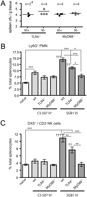 Vi modulates innate immune responses through TLR.