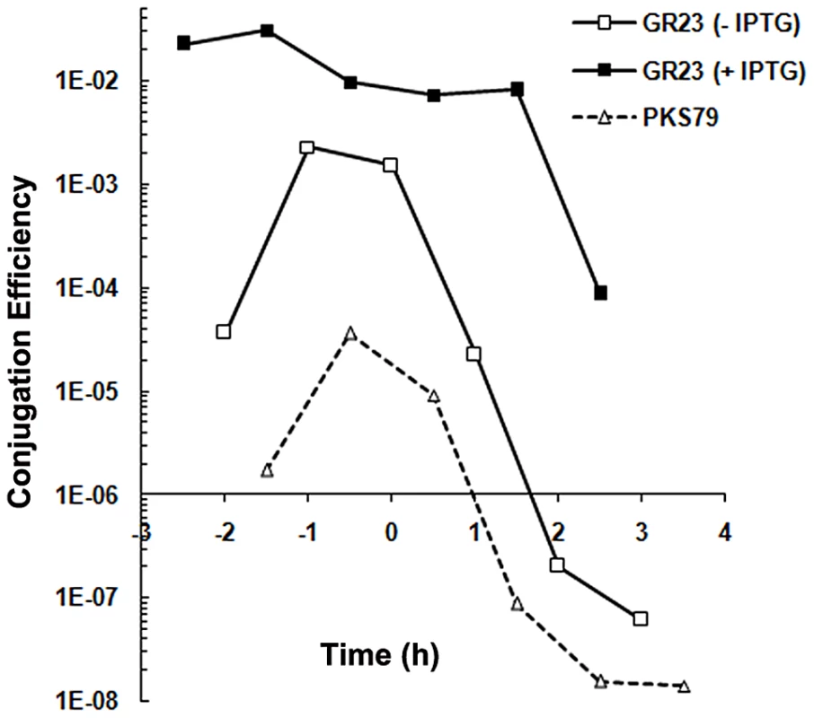 Rap<sub>LS20</sub> stimulates conjugation.