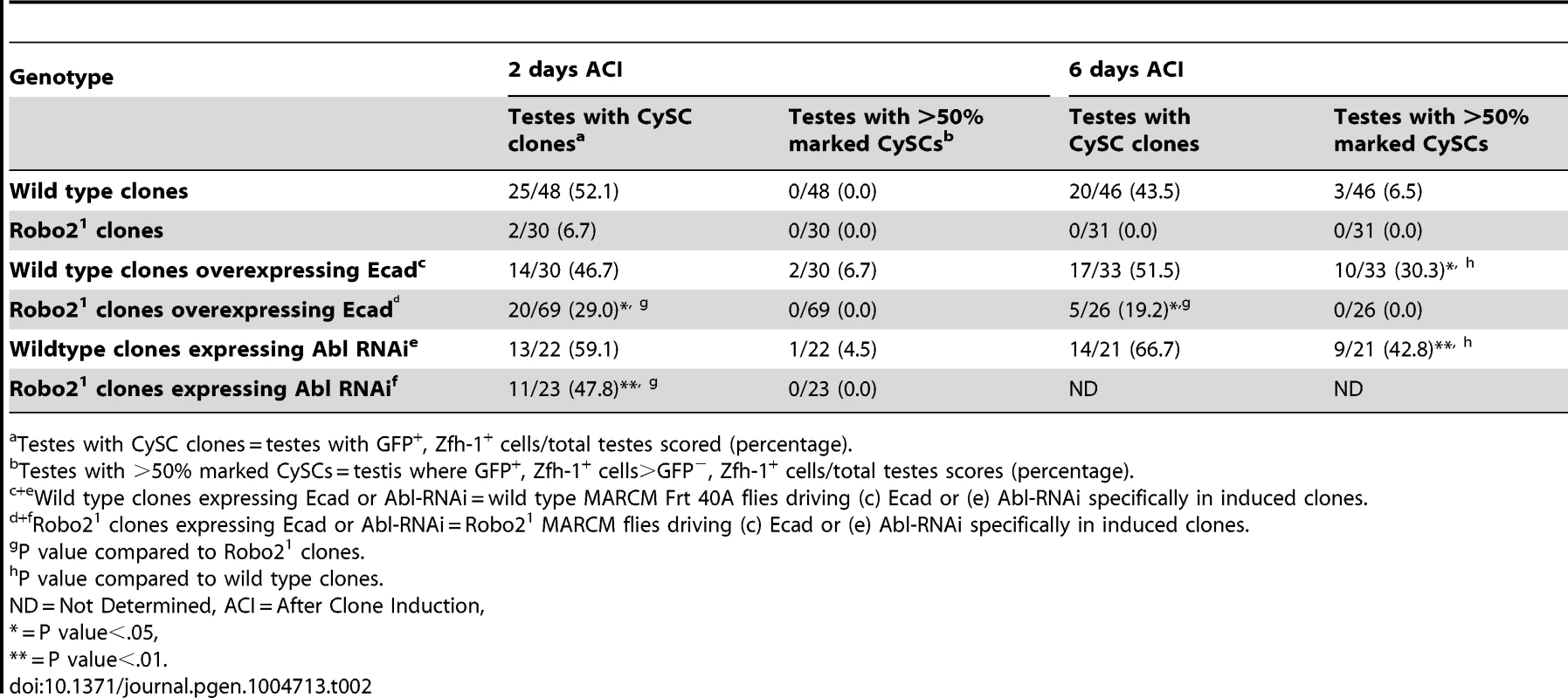 Ecad overexpression or Abl knockdown partially rescues loss of Robo2 mutant CySC clones.