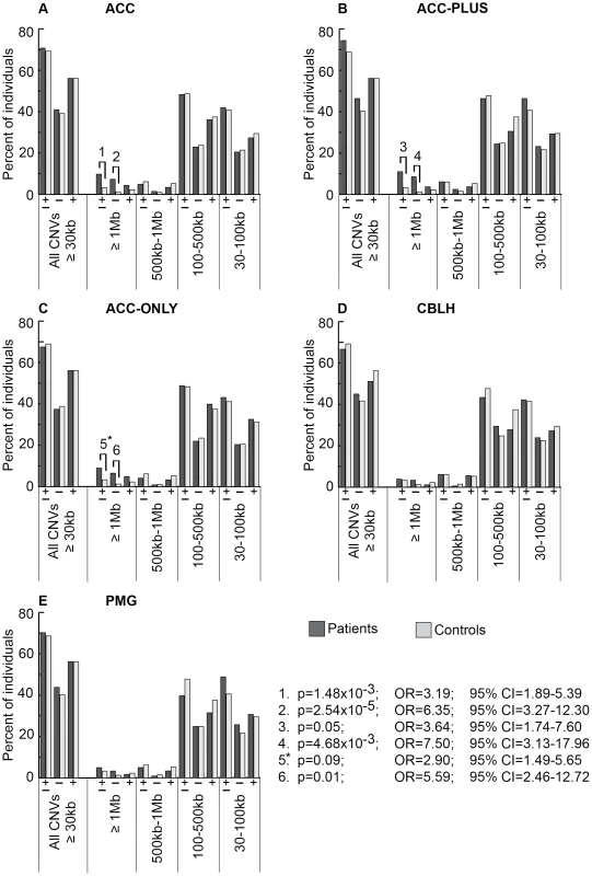 Genome-wide burden of rare CNVs based on size in brain malformation patients and controls of Caucasian ethnicity.