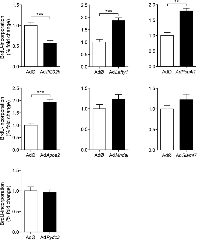 Effects of <i>Ifi202</i>, <i>Lefty1</i>, <i>Pcp4l1</i>, <i>Apoa2</i>, <i>Mndal</i>, <i>Slamf7</i>, and <i>Pydc3</i> on beta-cell proliferation.