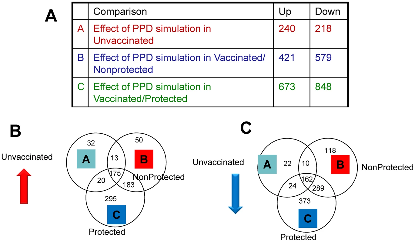 Results of RNA-Seq analysis.