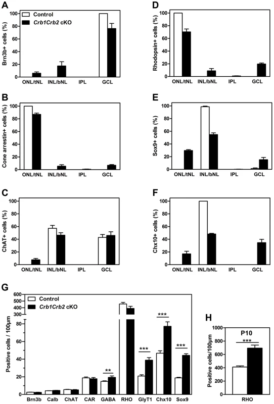 The number of late born cell types is increased in <i>Crb1Crb2</i> cKO retinas.