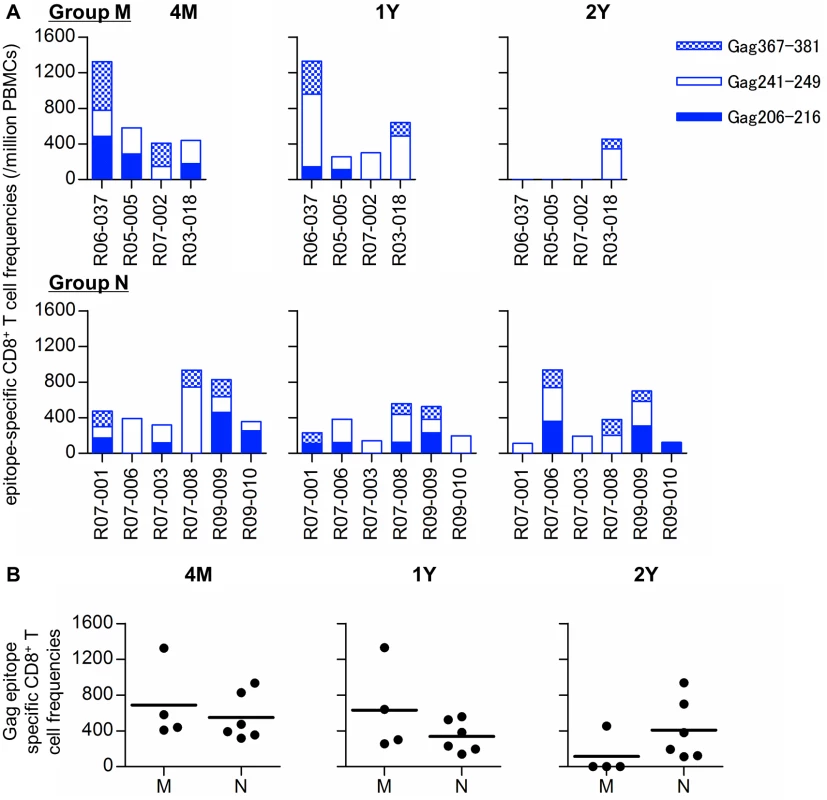 Gag<sub>206–216</sub>, Gag<sub>241–249</sub>, and Gag<sub>367–381</sub> epitope-specific CD8<sup>+</sup> T-cell responses in SIV controllers.