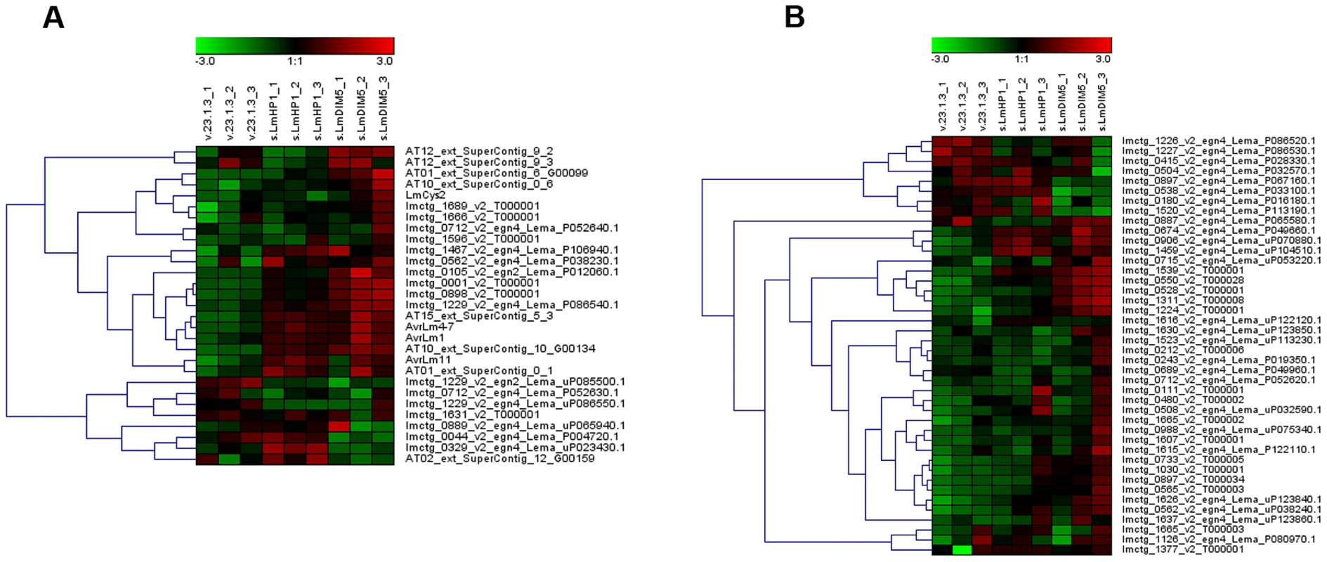 Expression of genes located in AT-isochores in the silenced-<i>LmHP1</i> and -<i>LmDIM5</i> transformants.