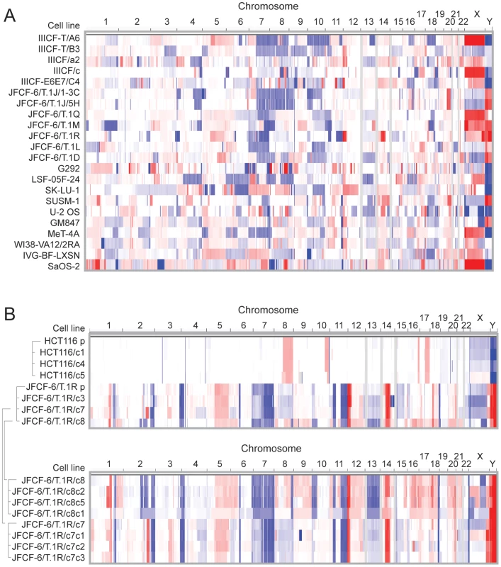 Copy number analysis showing extensive genome rearrangements in ALT lines.