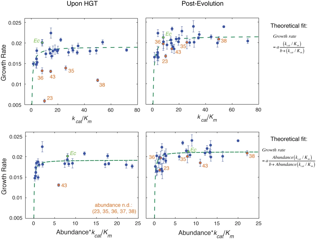 Fitness landscape of HGT strains is largely explained by flux dynamics theory.