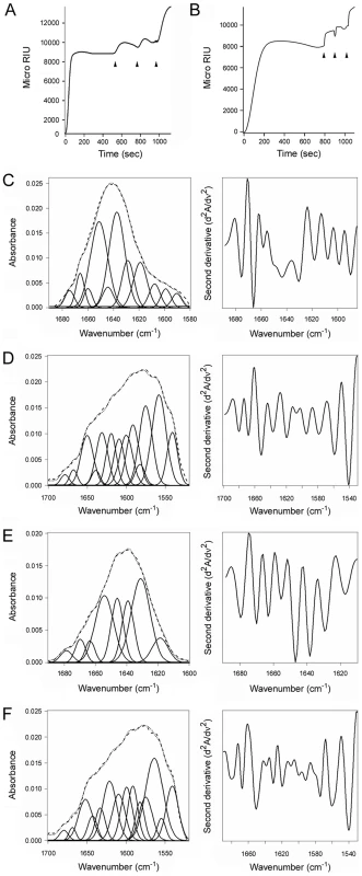 ERp57 and ERp72 do not disassemble the CT holotoxin and do not unfold upon contact with CTA1.