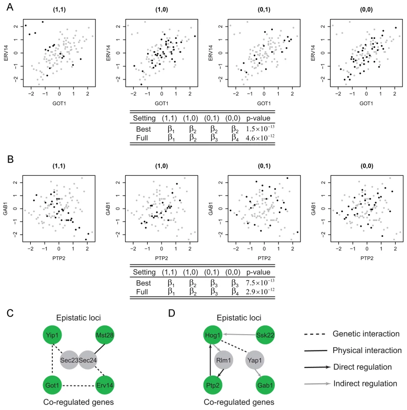 Epistasis-2D modules.