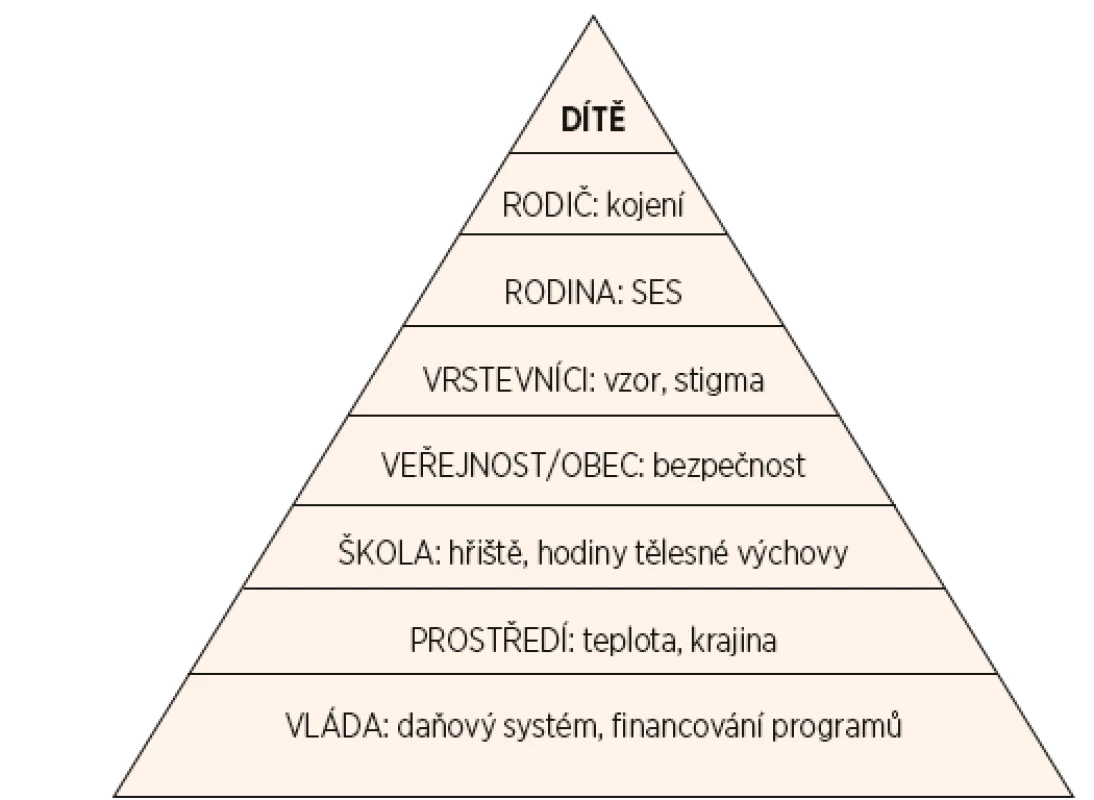 Vlivy bezprostředního okolí a vnějšího prostředí na tělesnou
hmotnost dítěte.