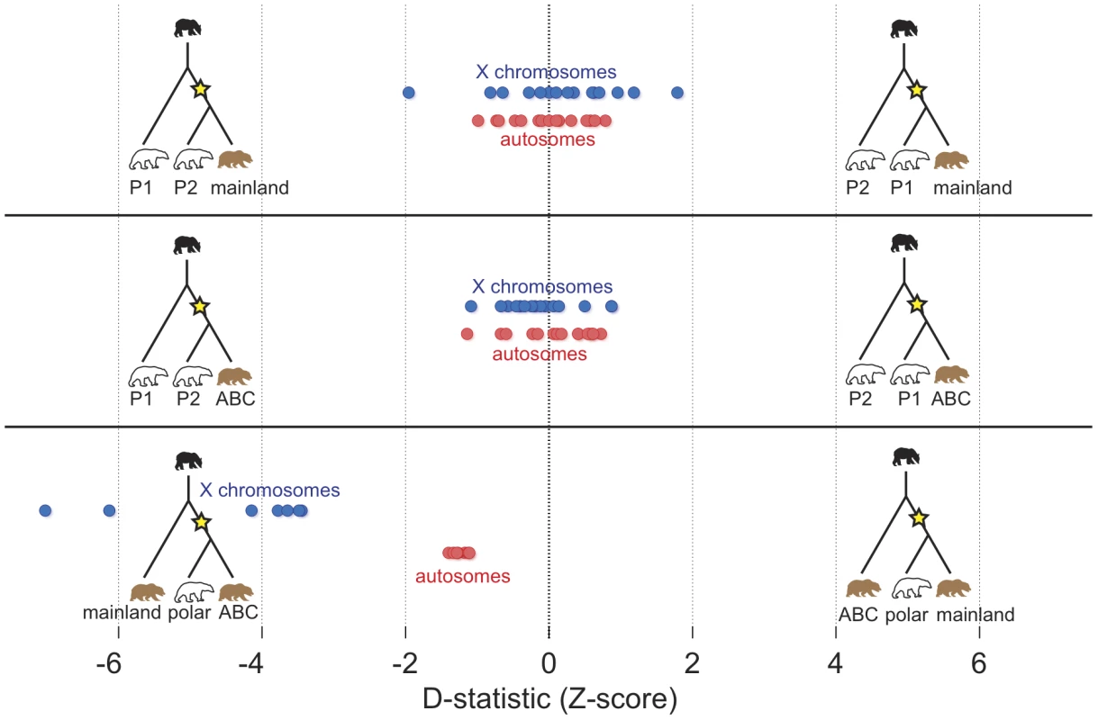 Summary of D-statistic comparisons between polar bears and brown bears.