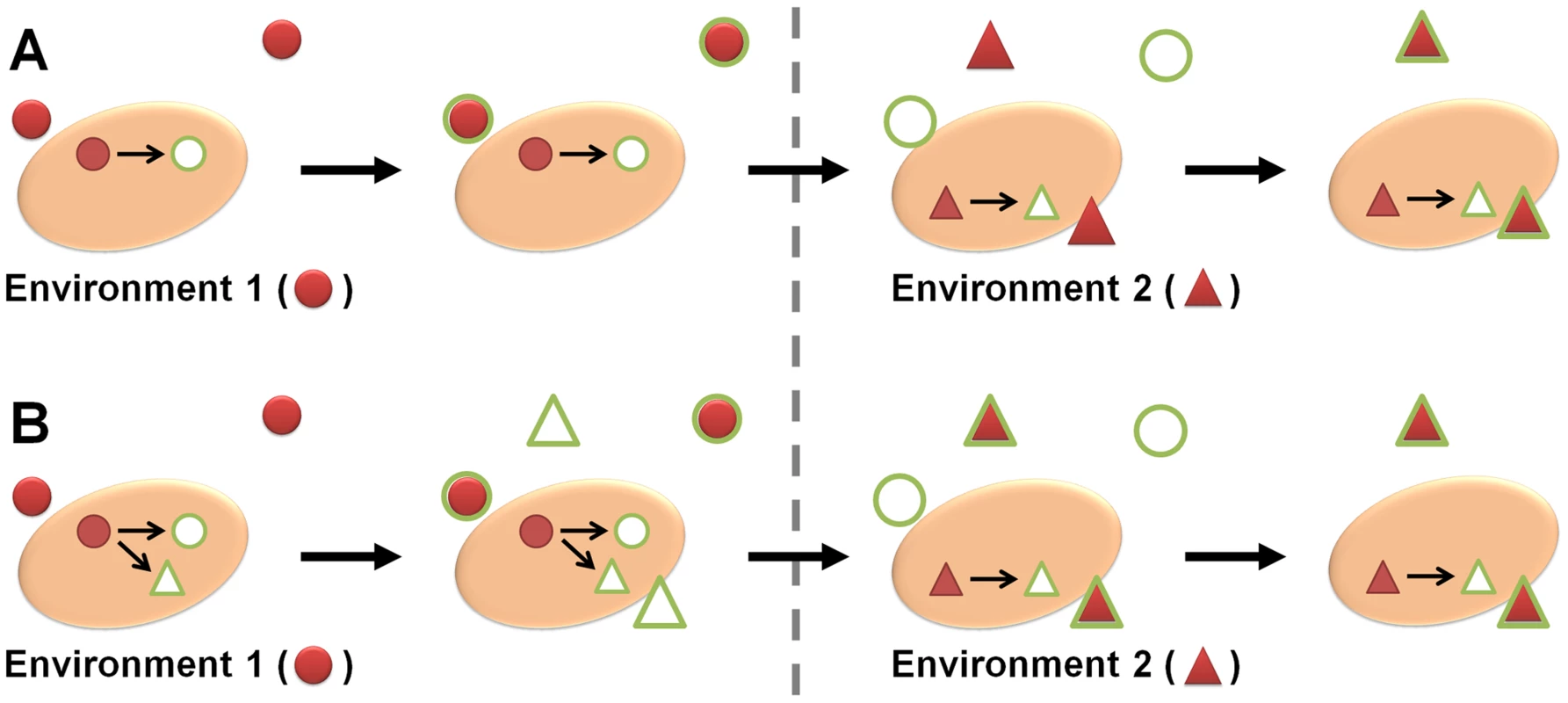 The basis of adaptive prediction.