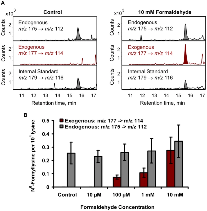 Addition of [<sup>13</sup>C,<sup>2</sup>H<sub>2</sub>]-formaldehyde to TK6 cells distinguishes exogenous from endogenous sources of N<sup>6</sup>-formyllysine.