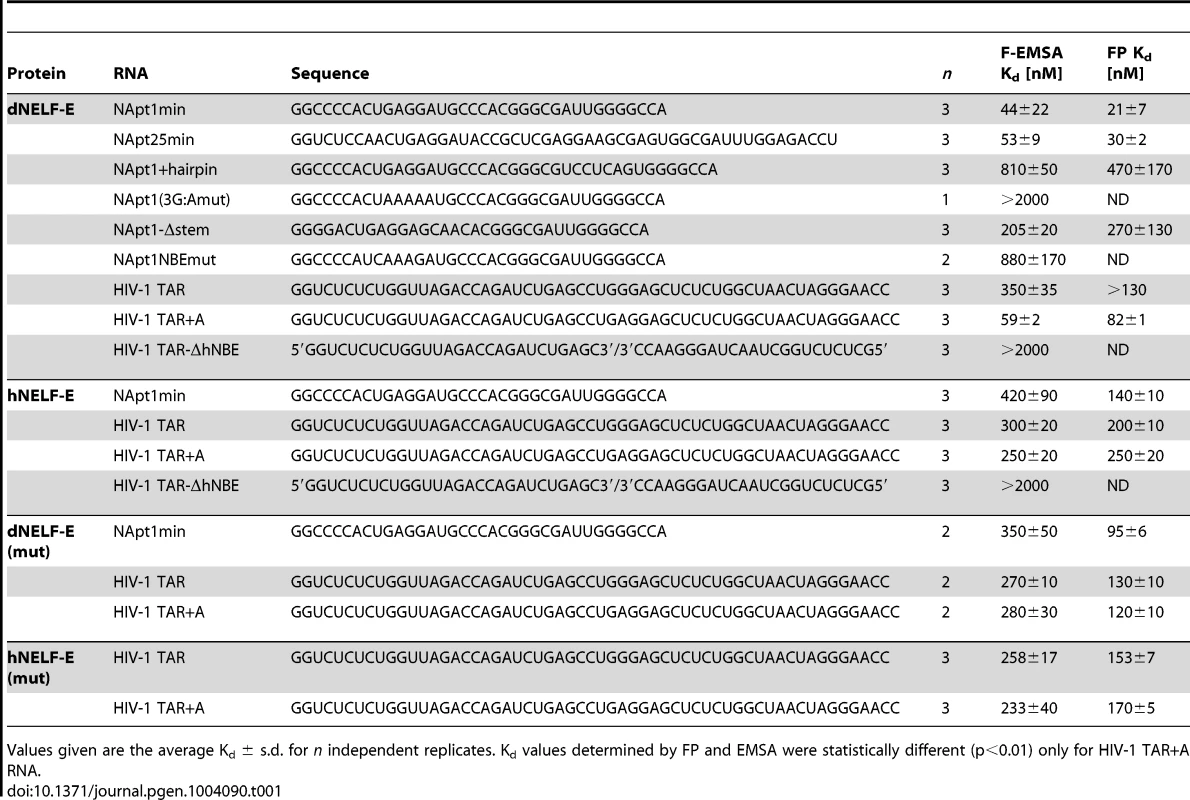 NELF-E binding affinity for RNA targets.