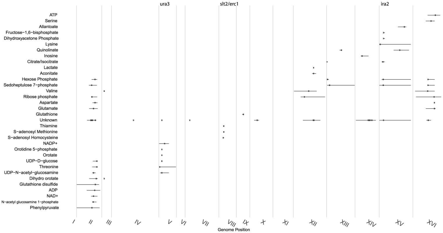 Distribution of significant linkages across the genome.