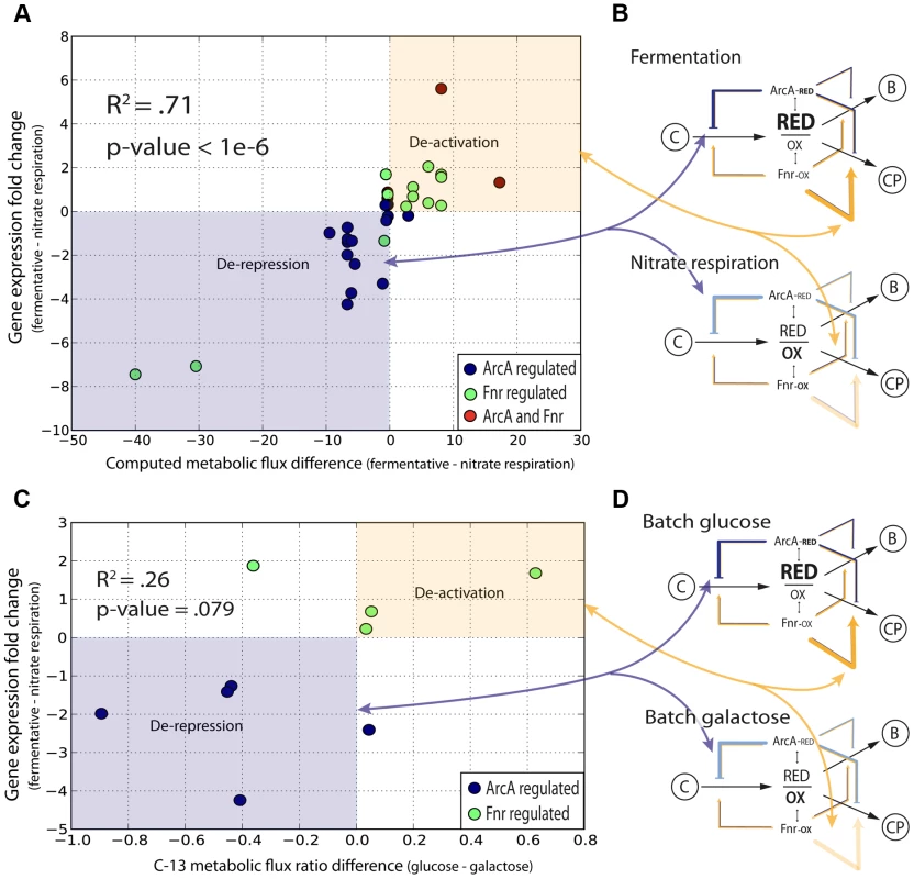 Quantitative correlation of shifts in regulatory strength between experimental conditions with shifts in flux through regulated enzymes.
