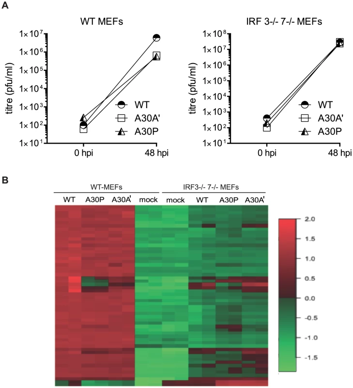 Infection of WT and IRF3<sup>−/−</sup>7<sup>−/−</sup> MEFs with PRF-deficient WNV<sub>KUN</sub> viruses induces differential expression of several genes.