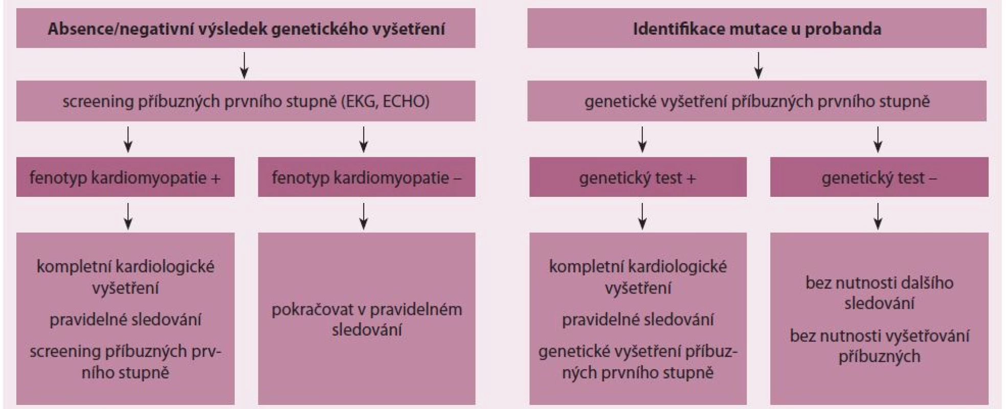 Sledování příbuzných pacientů s kardiomyopatiemi v závislosti na výsledku genetického vyšetření [12].