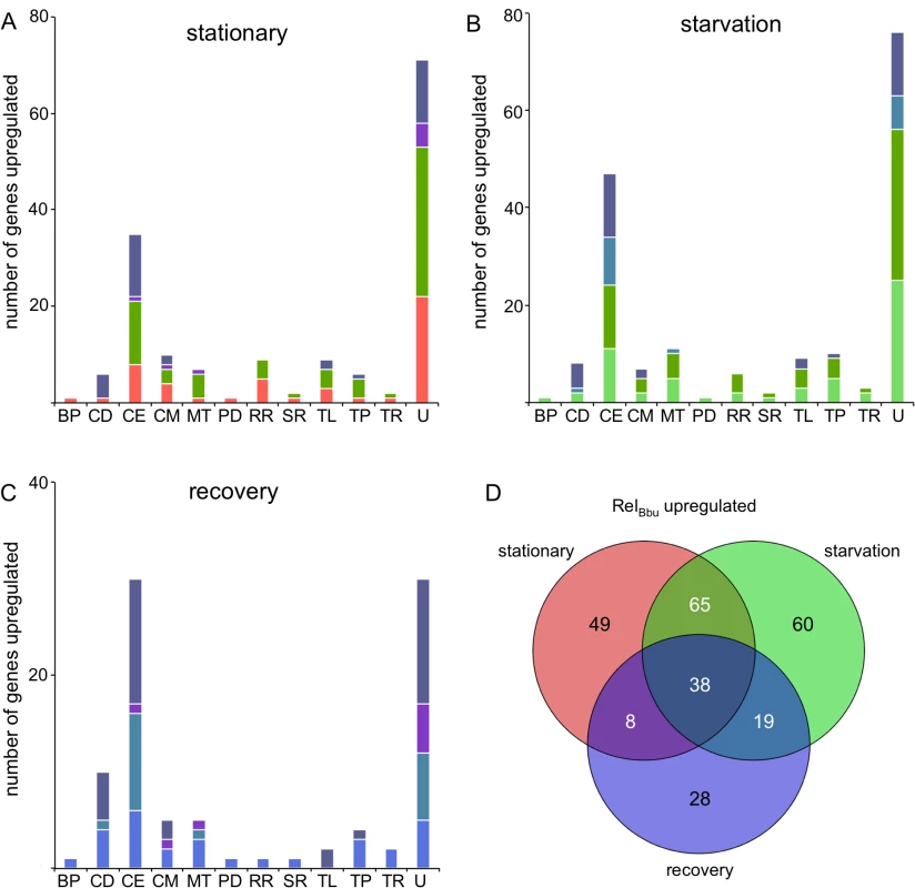 Rel<sub>Bbu</sub>-upregulated genes during nutrient stress.