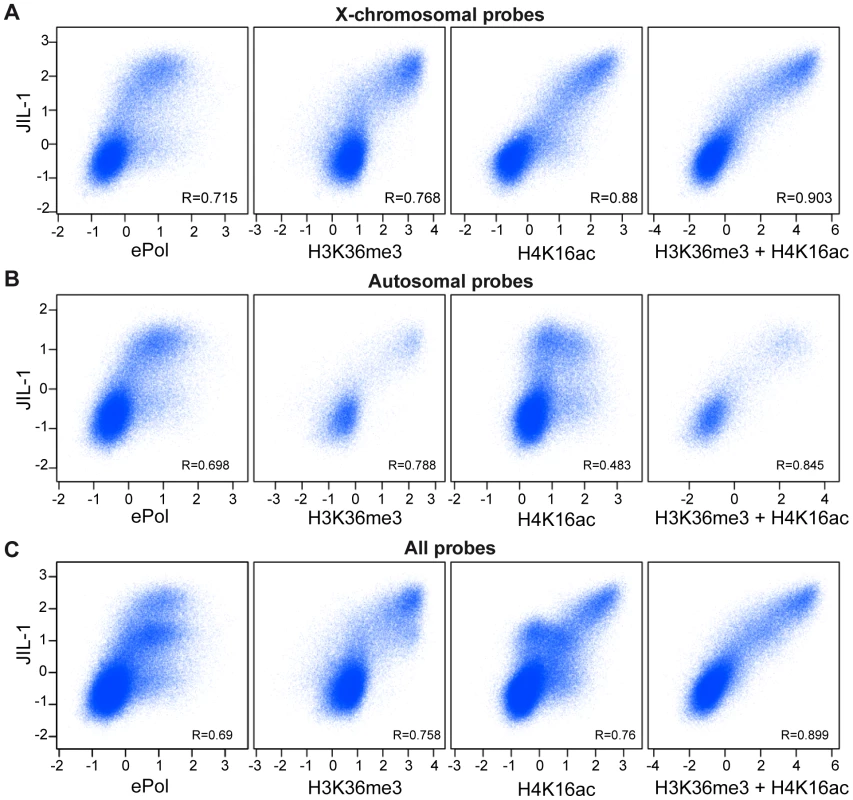 Correlations of H3K36me3, H4K16ac, and JIL-1 binding.
