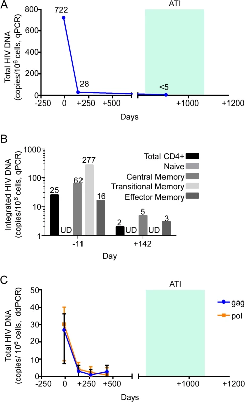 HIV-1 DNA monitoring in the peri-transplant period.
