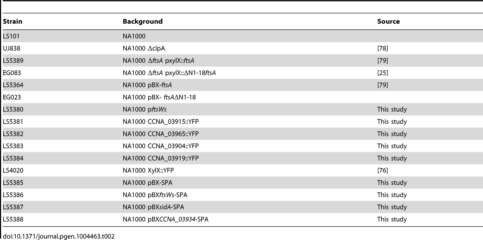 List of strains used in this study.