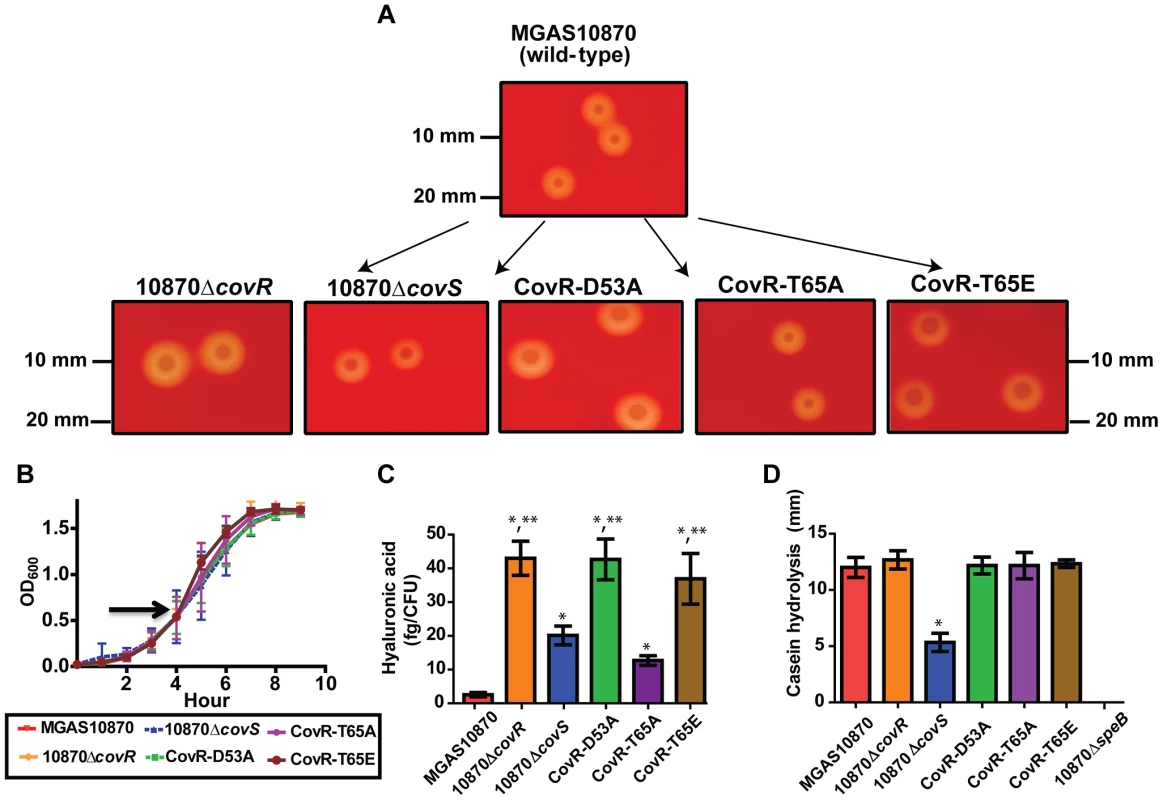 Growth curves and general characterization of GAS CovR/S variants.