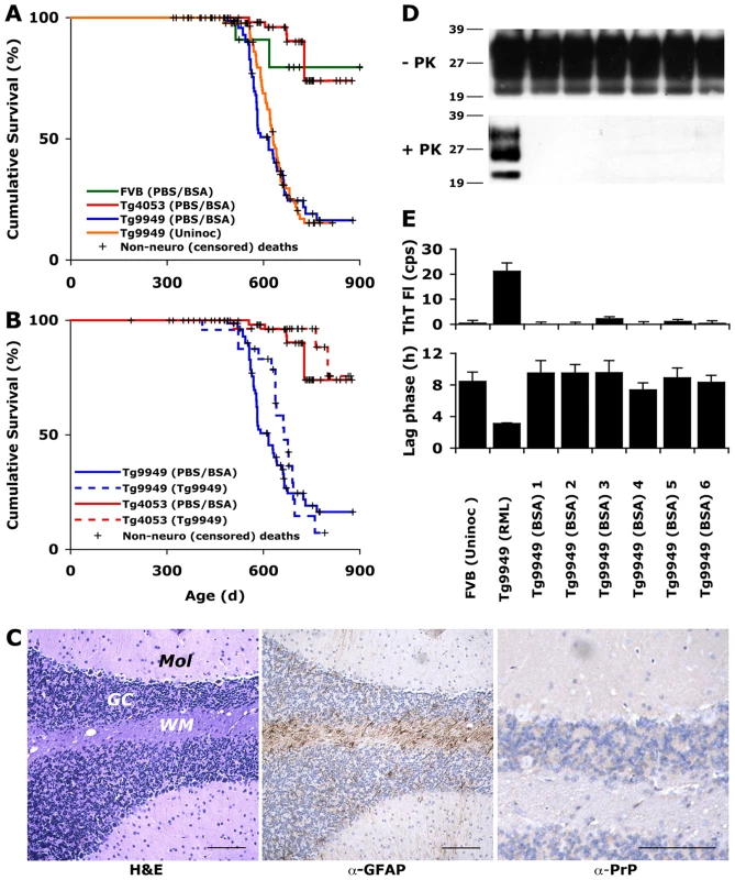Tg9949 mice are prone to neurological dysfunction but do not spontaneously generate prions.