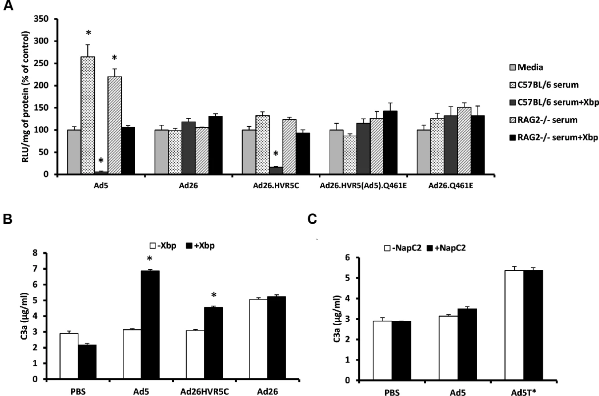 FX protects Ad26.HVR5C against immune attack.