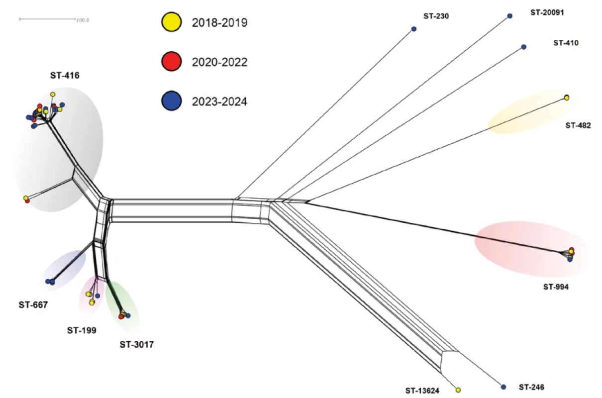 Genetická diverzita 66 izolátů S. pneumoniae sérotypu 19A z IPO, 2018–2024, Česká republika Figure 9. Genetic diversity of 66 S. pneumoniae isolates of serotype 19A from IPD, Czech Republic, 2018–2024