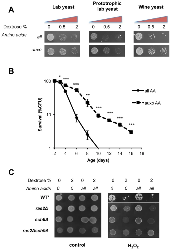 Dextrose and amino acids act on separate pathways.