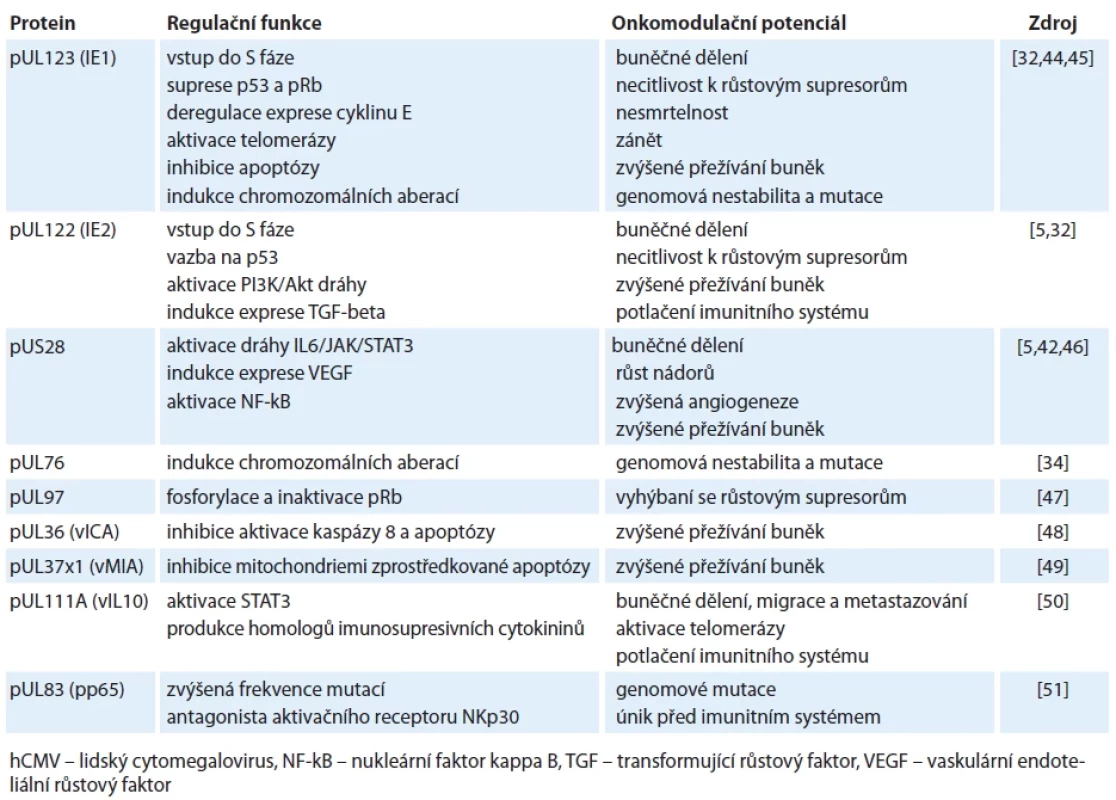 Funkce a onkomodulační význam klíčových proteinů hCMV.