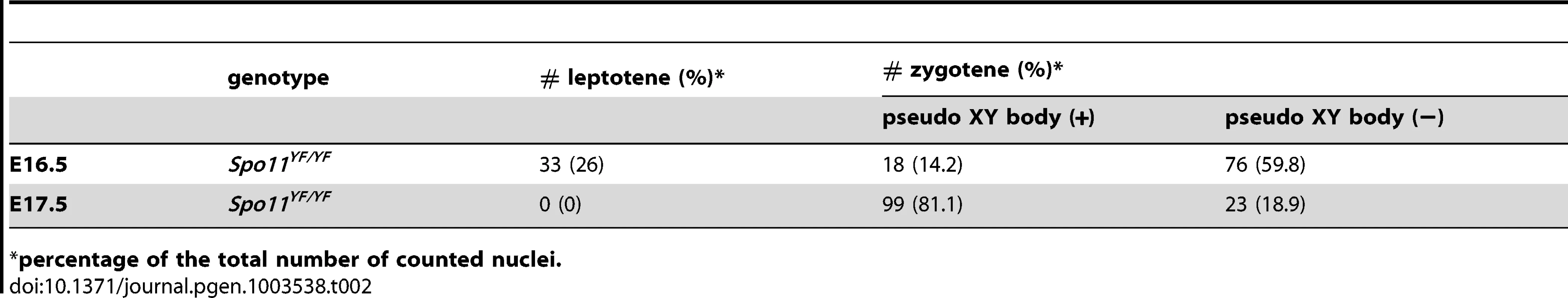 Number of different subtypes of meiotic nuclei and frequency of nuclei with a pseudo-XY body in E16.5 and E17.5 oocytes from <i>Spo11<sup>YF/YF</sup></i>embryos.