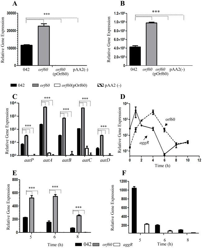 Orf60 represses expression of AggR and its regulon.