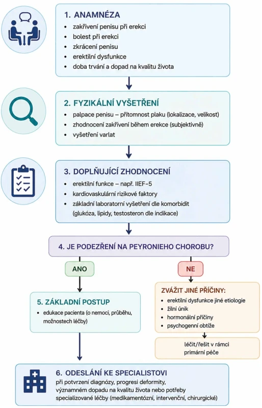 Diagnostický algoritmus Peyronieho choroby pro praktického lékaře