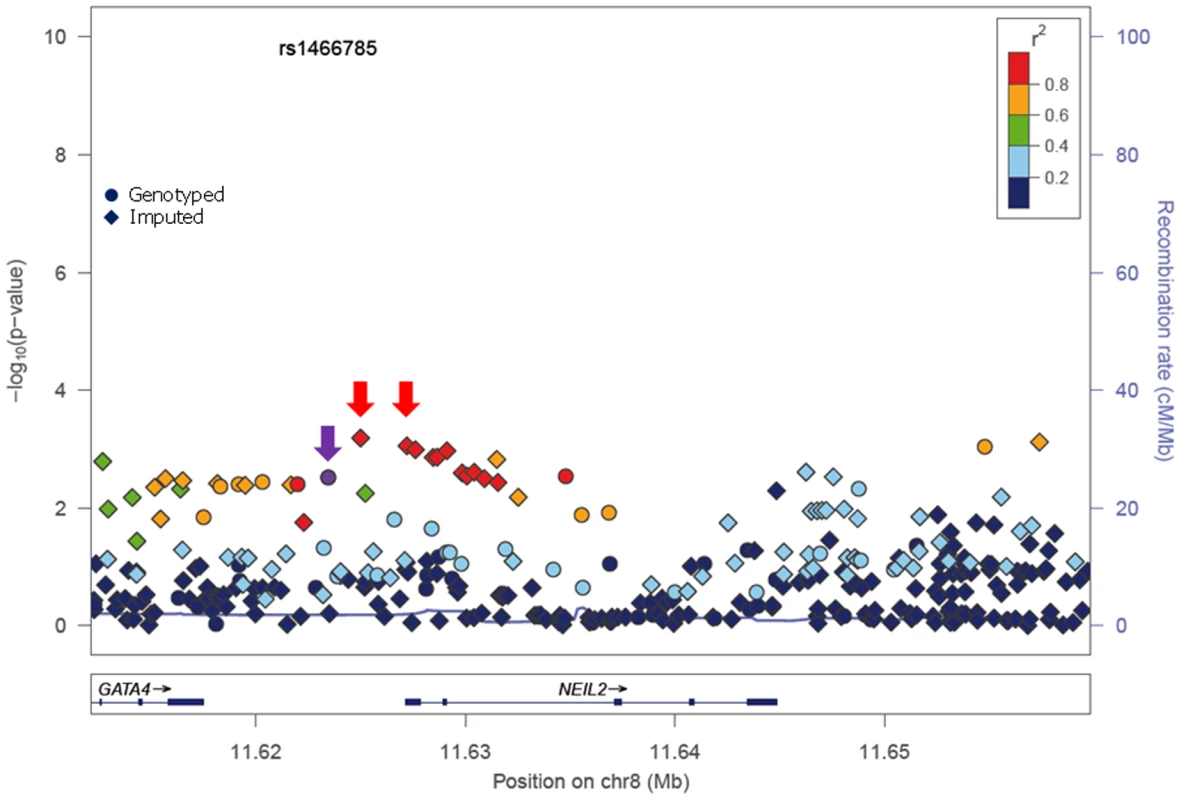 p-values of association (−log10 scale) with breast cancer risk in <i>BRCA2</i> carriers for genotyped and imputed SNPs in the <i>NEIL2</i> gene.