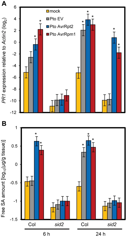 SA-independent regulation of <i>PR1</i> during ETI.