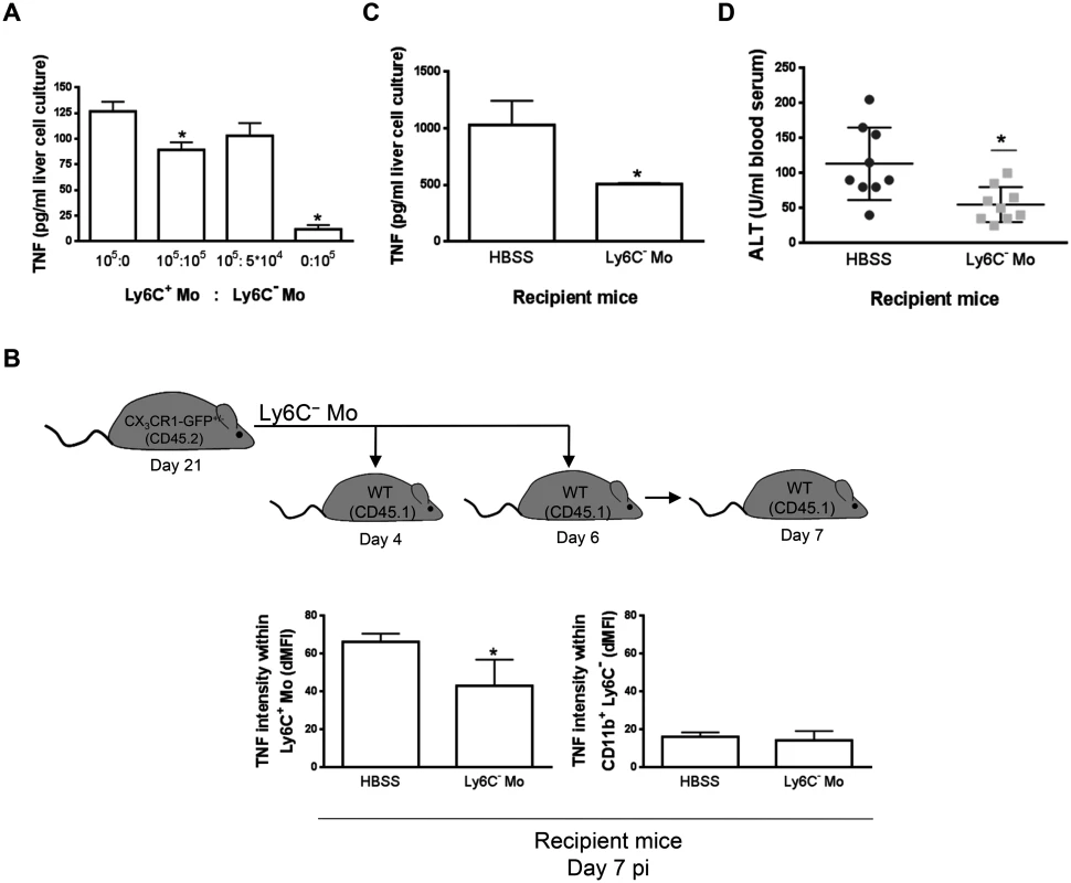 Ly6C<sup>-</sup> monocytes limit TNF production by Ly6C<sup>+</sup> monocytes in <i>T</i>. <i>congolense</i>-infected mice.