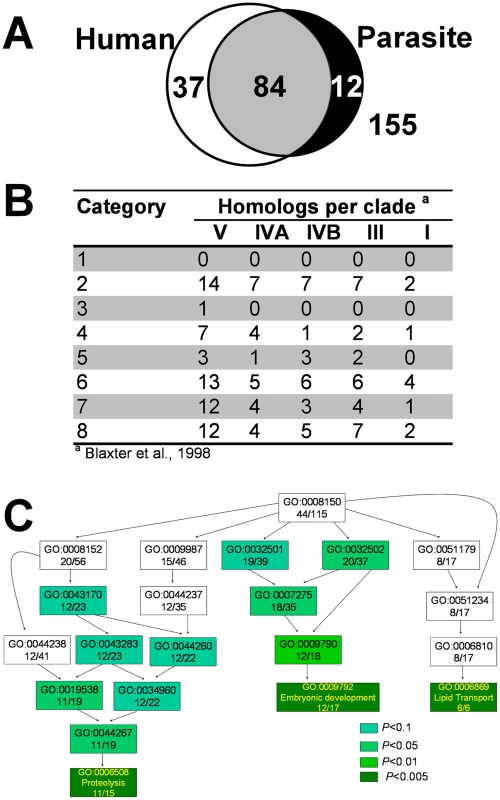 Comparative analysis of the heme-responsive genes.