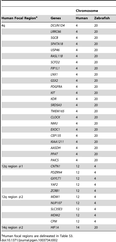 Genes found in focal amplifications in both human and fish MPNSTs, grouped by human focal regions