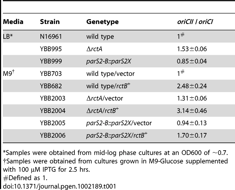 Ratio of <i>oriCII</i>/<i>oriCI</i> in <i>V. cholerae</i> strains.
