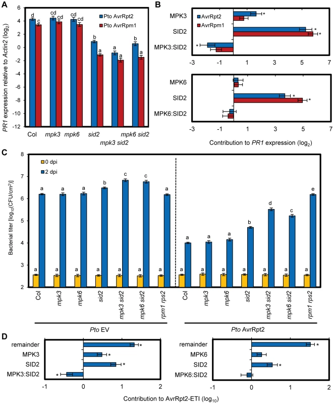 Compensation between MPK3 and SA contributes to the robust ETI levels.