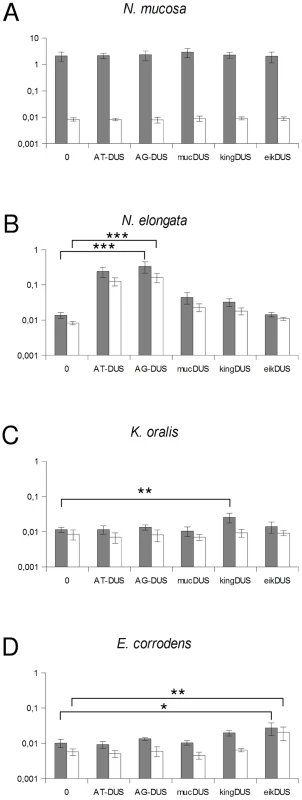 Quantification of DNA binding and uptake of <i>Neisseriaceae</i> with different DUS variants.