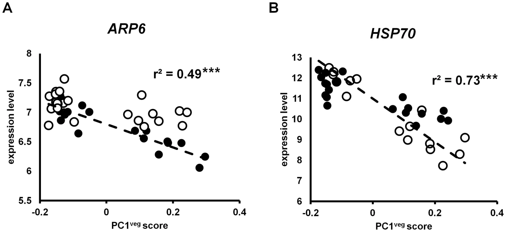 Gene expression in <i>A. thaliana</i> under field conditions correlated with PC1<sup>veg</sup>.