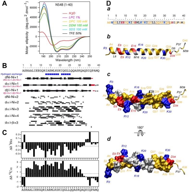 Structure of NS4B AH1.