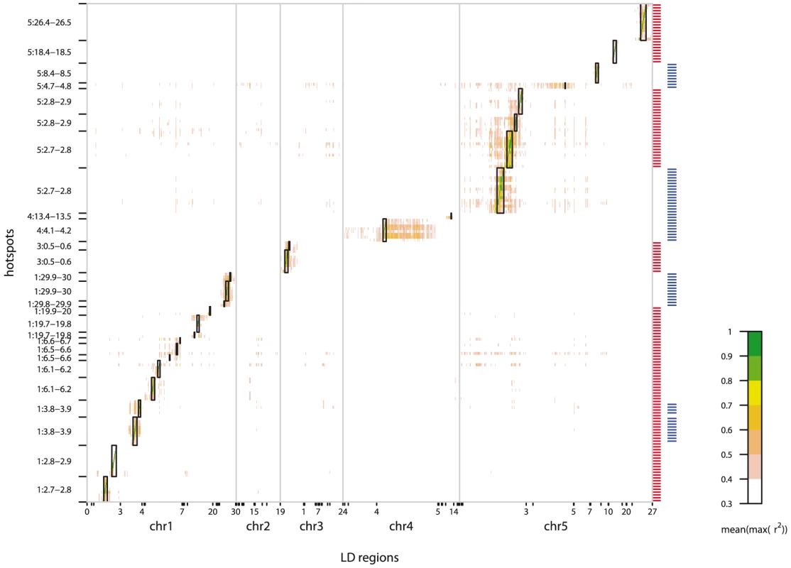 Heatmap of gene–gene LD for all hotspot genes.